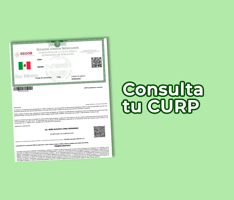 Consultar Curp