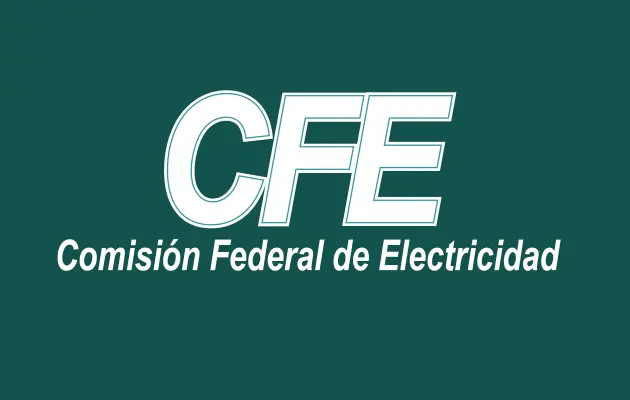 Consultar recibo de luz